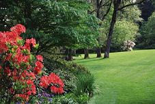 Grass - We do landscaping, irrigation, and gardening. Located in Myrtle Beach, South Carolina.